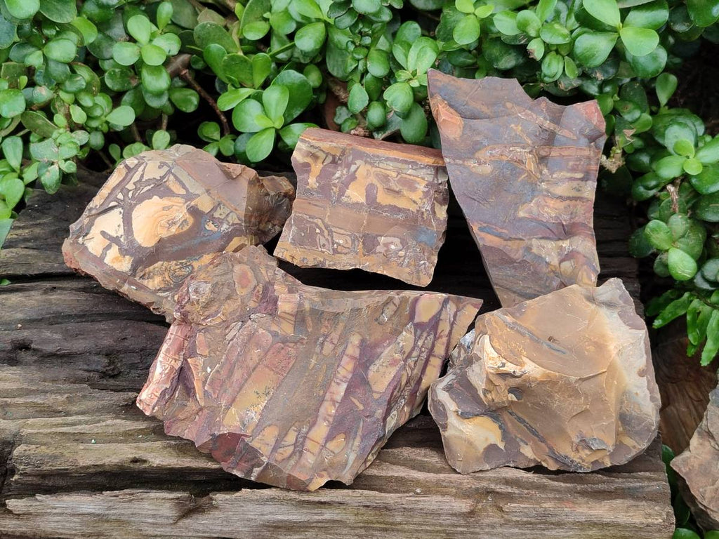 Natural Nguni Jasper Cobbed Specimens x 5 From Northern Cape, South Africa - Toprock Gemstones and Minerals 