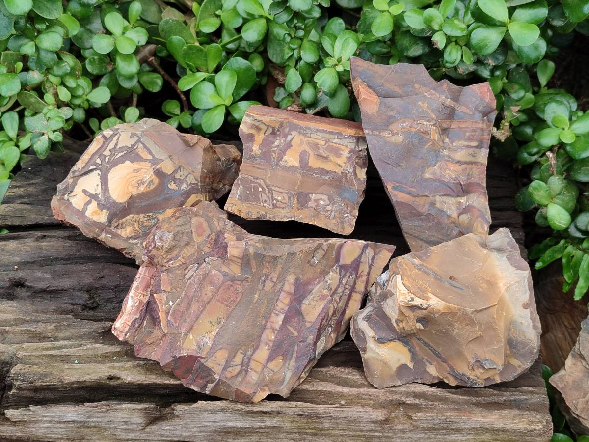 Natural Nguni Jasper Cobbed Specimens x 5 From Northern Cape, South Africa - Toprock Gemstones and Minerals 