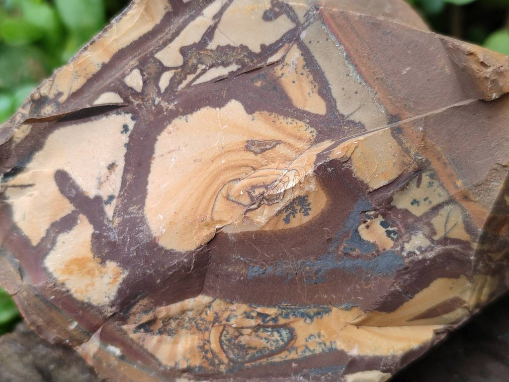 Natural Nguni Jasper Cobbed Specimens x 5 From Northern Cape, South Africa - Toprock Gemstones and Minerals 