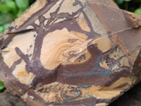 Natural Nguni Jasper Cobbed Specimens x 5 From Northern Cape, South Africa