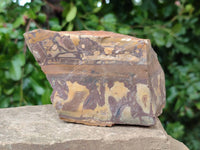 Natural Nguni Jasper Cobbed Specimens x 5 From Northern Cape, South Africa