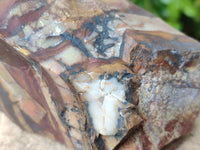 Natural Nguni Jasper Cobbed Specimens x 5 From Northern Cape, South Africa