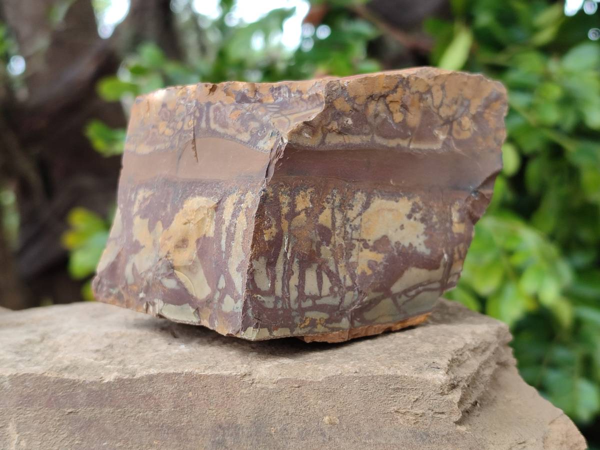 Natural Nguni Jasper Cobbed Specimens x 5 From Northern Cape, South Africa - Toprock Gemstones and Minerals 