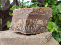 Natural Nguni Jasper Cobbed Specimens x 5 From Northern Cape, South Africa