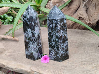 Polished Gabbro 'Merlinite' Points x 2 From Madagascar
