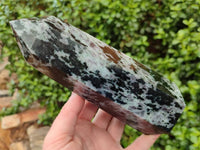 Polished Gabbro 'Merlinite' Points x 2 From Madagascar