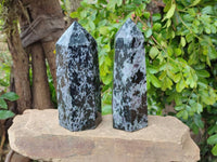 Polished Gabbro 'Merlinite' Points x 2 From Madagascar