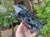Polished Gabbro 'Merlinite' Points x 2 From Madagascar