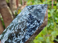 Polished Gabbro 'Merlinite' Points x 2 From Madagascar