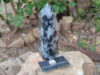Polished Gabbro 'Merlinite' Points x 2 From Madagascar