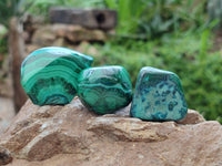 Polished Malacolla Free Forms x 35 From Kulukuluku, Congo