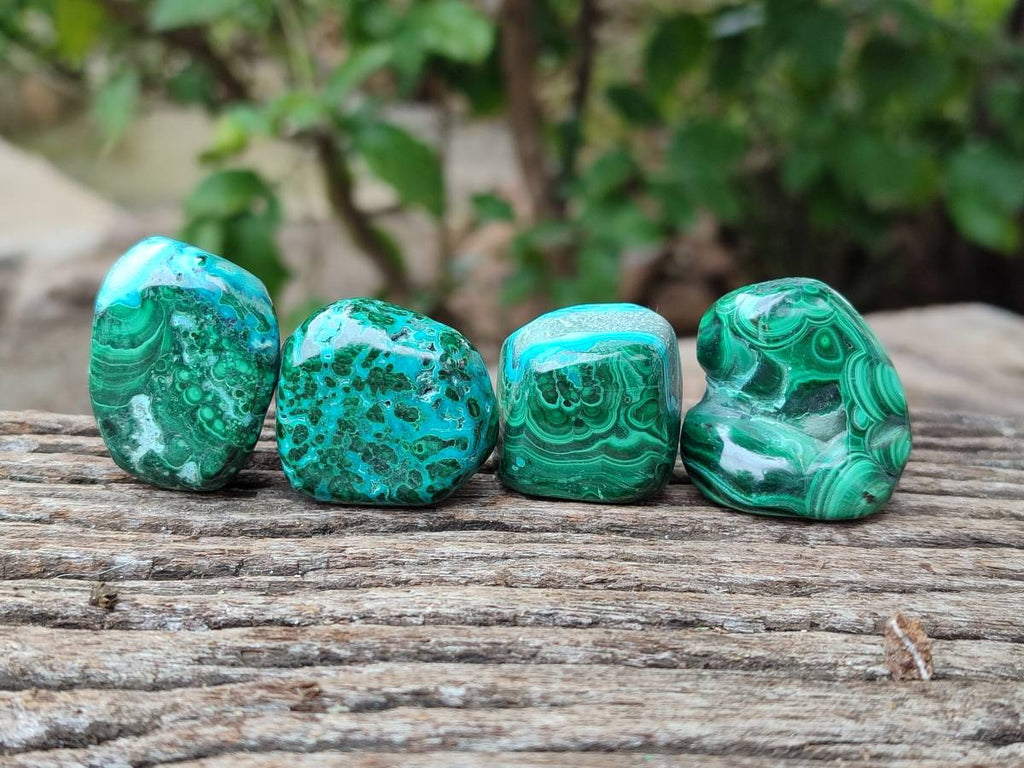 Polished Malacolla Free Forms x 35 From Kulukuluku, Congo - Toprock Gemstones and Minerals 