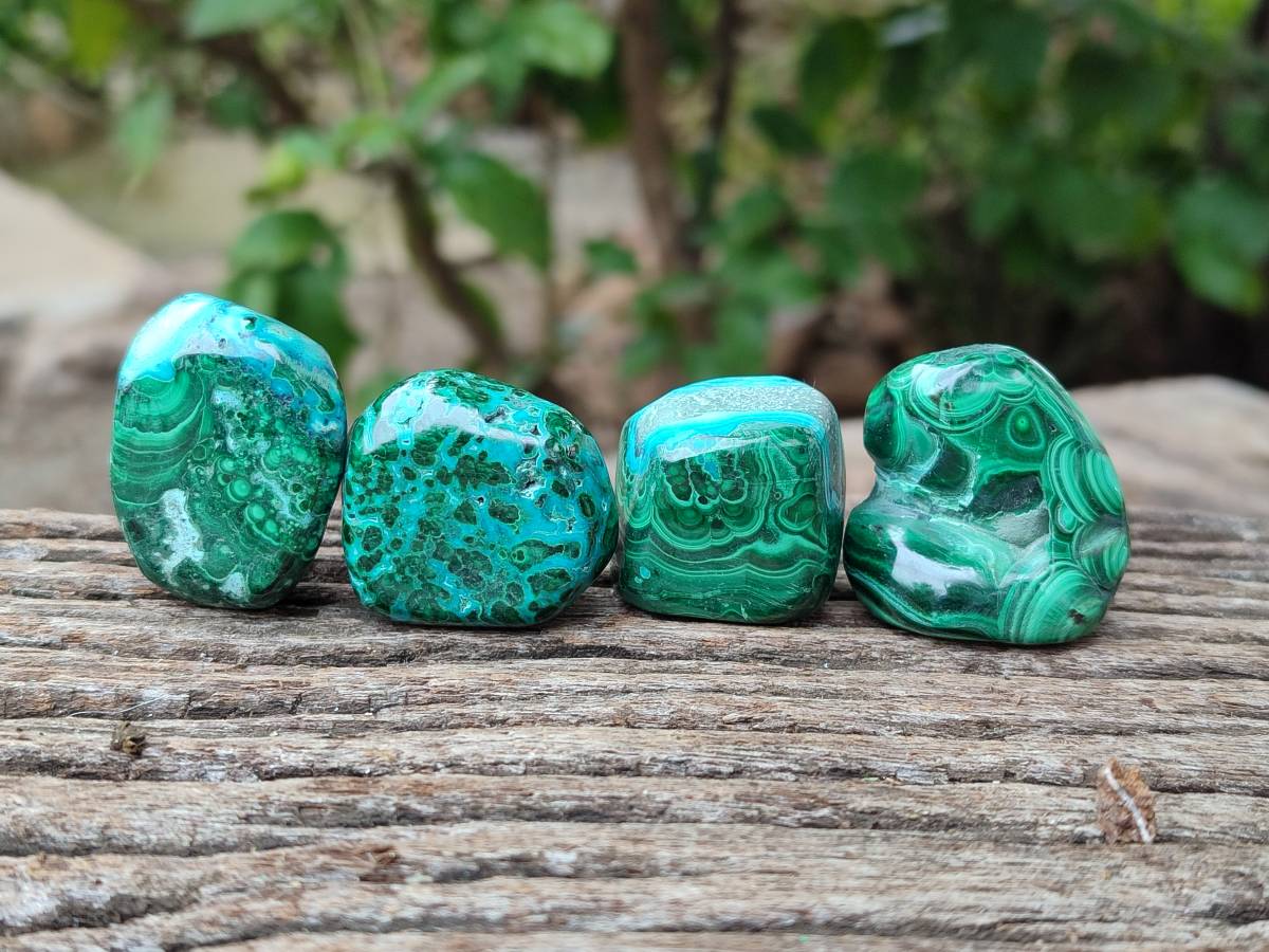 Polished Malacolla Free Forms x 35 From Kulukuluku, Congo - Toprock Gemstones and Minerals 