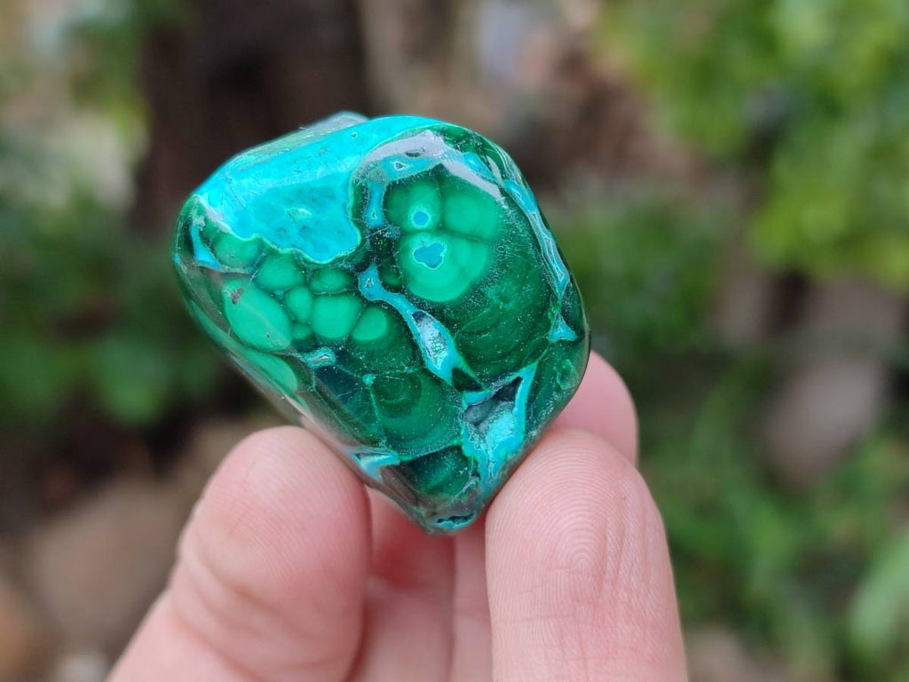 Polished Malacolla Free Forms x 35 From Kulukuluku, Congo - Toprock Gemstones and Minerals 