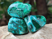Polished Malacolla Free Forms x 35 From Kulukuluku, Congo