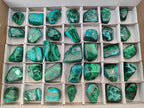 Polished Malacolla Free Forms x 35 From Kulukuluku, Congo - Toprock Gemstones and Minerals 