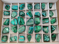 Polished Malacolla Free Forms x 35 From Kulukuluku, Congo