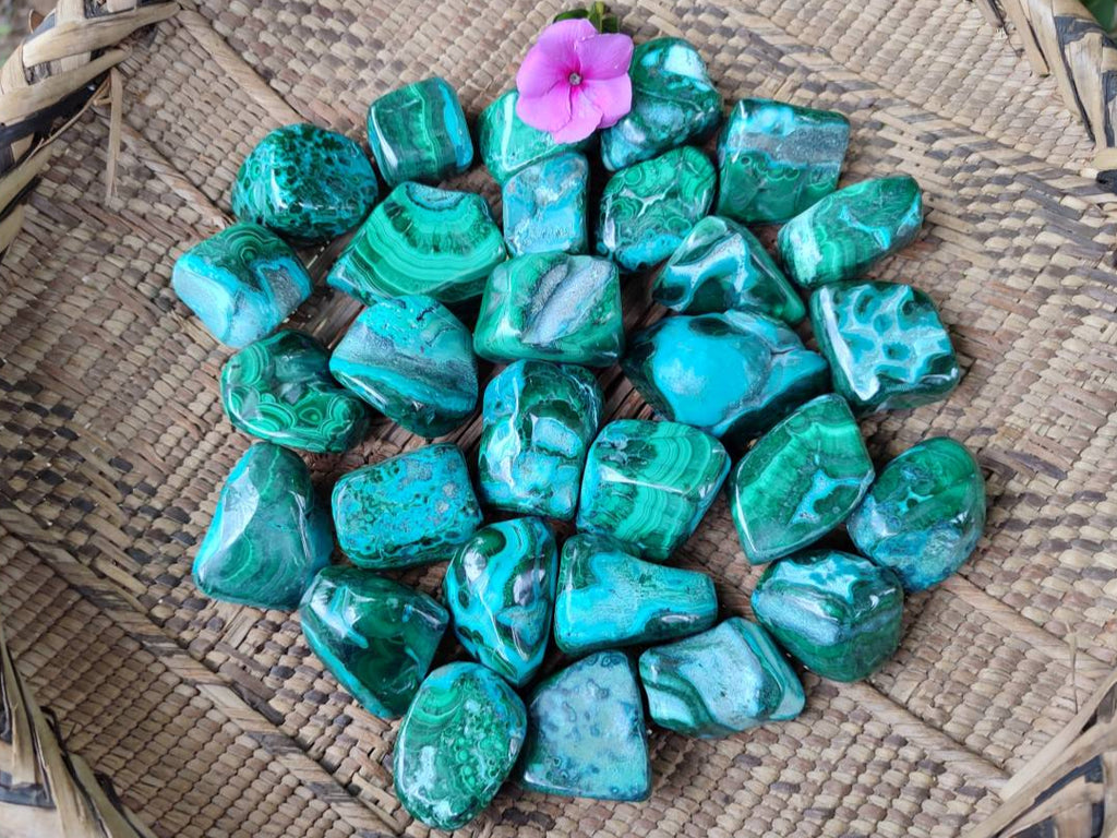 Polished Malacolla Free Forms x 35 From Kulukuluku, Congo - Toprock Gemstones and Minerals 