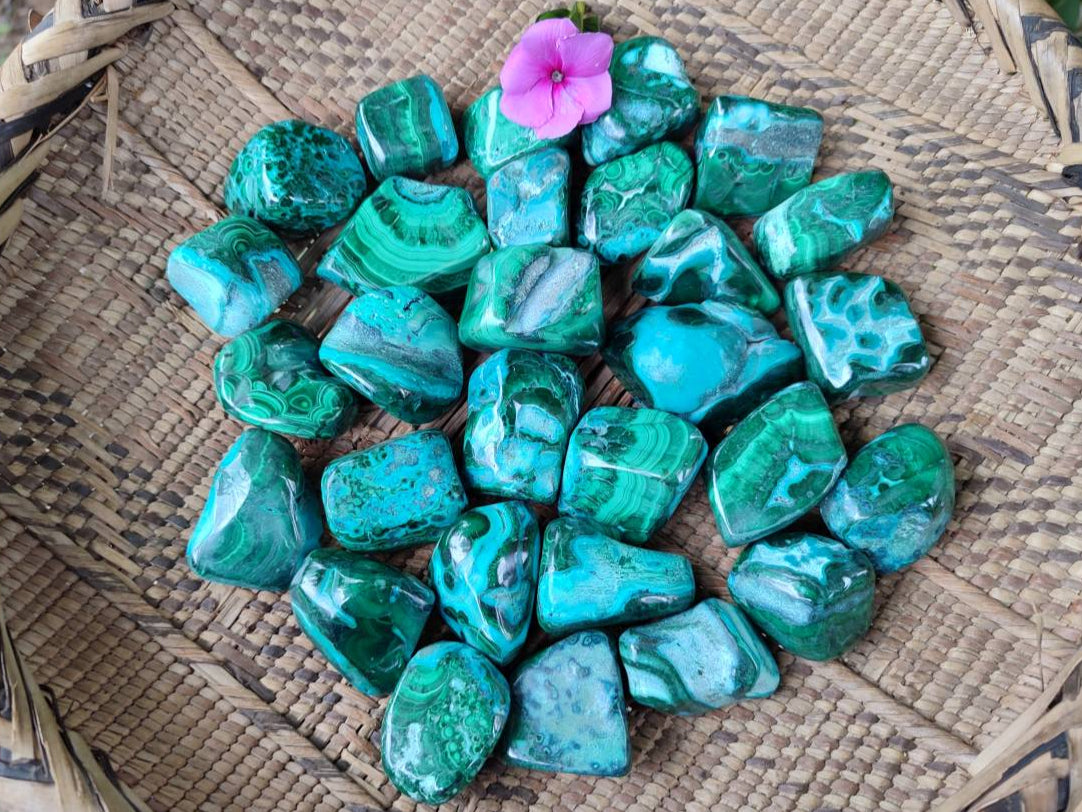 Polished Malacolla Free Forms x 35 From Kulukuluku, Congo - Toprock Gemstones and Minerals 