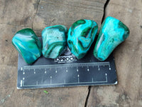 Polished Malacolla Free Forms x 35 From Kulukuluku, Congo