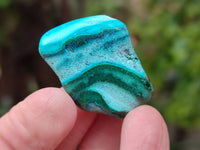 Polished Malacolla Free Forms x 35 From Kulukuluku, Congo