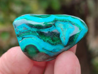 Polished Malacolla Free Forms x 35 From Kulukuluku, Congo