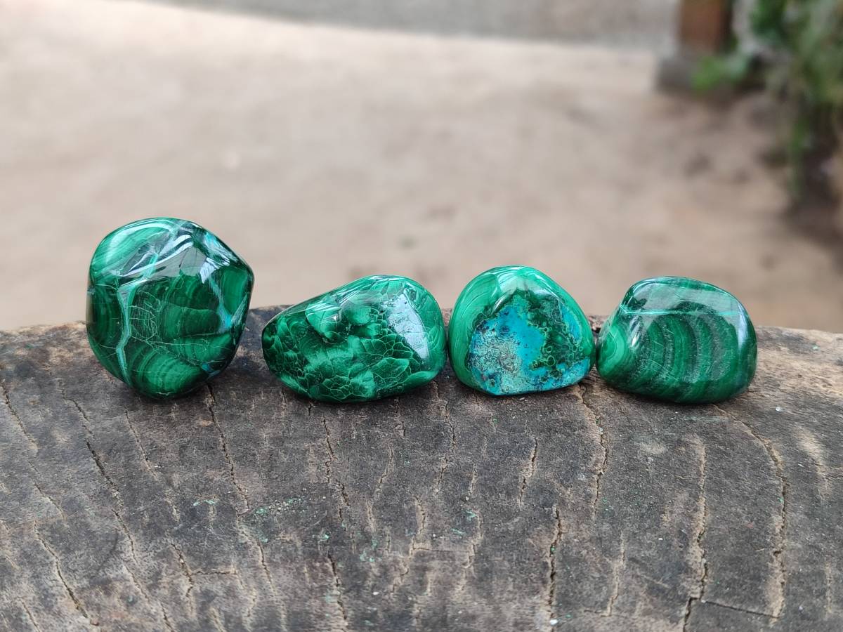 Polished Malacolla Free Forms x 35 From Kulukuluku, Congo - Toprock Gemstones and Minerals 