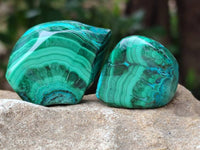 Polished Malacolla Free Forms x 35 From Kulukuluku, Congo