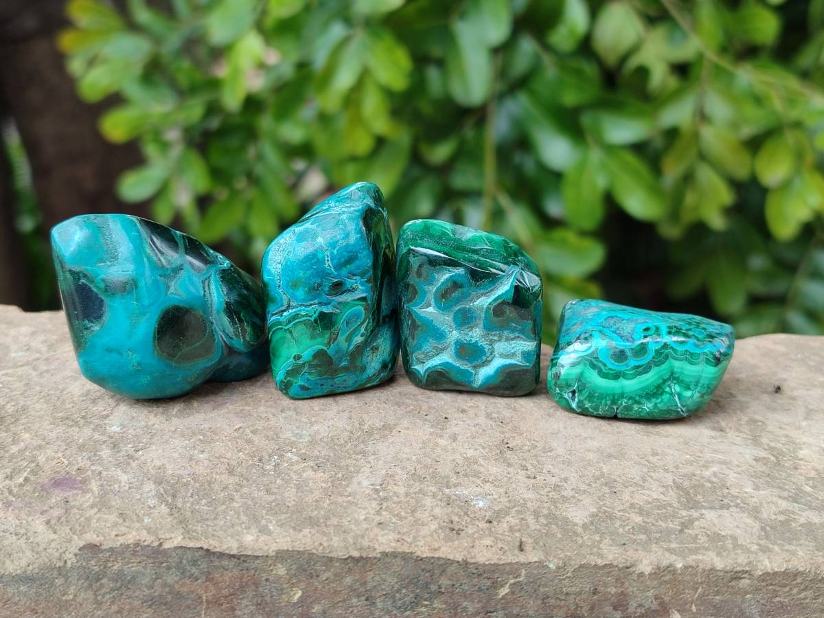 Polished Malacolla Free Forms x 35 From Kulukuluku, Congo - Toprock Gemstones and Minerals 