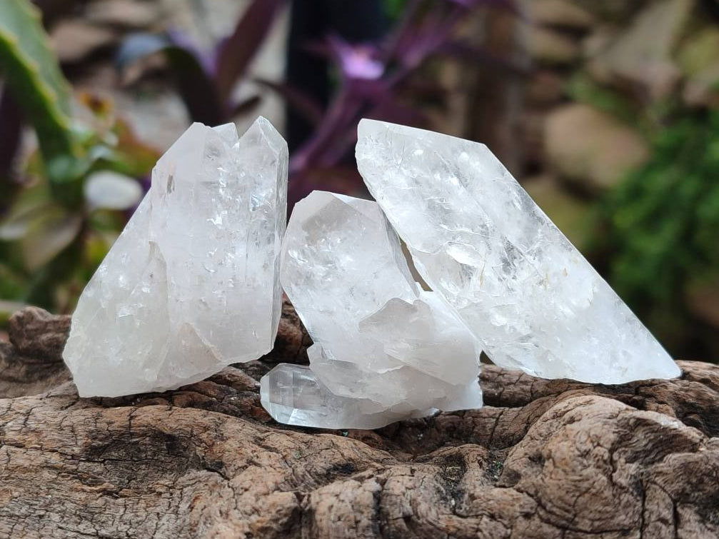 Natural Clear Mpika Quartz Crystals x 35 From Zambia - Toprock Gemstones and Minerals 
