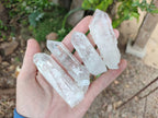 Natural Clear Mpika Quartz Crystals x 35 From Zambia - Toprock Gemstones and Minerals 