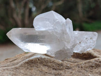 Natural Clear Mpika Quartz Crystals x 35 From Zambia