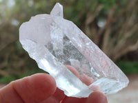 Natural Clear Mpika Quartz Crystals x 35 From Zambia