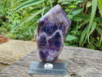 Polished Chevron Amethyst Points x 2 From Zambia - Toprock Gemstones and Minerals 