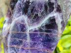 Polished Chevron Amethyst Points x 2 From Zambia - Toprock Gemstones and Minerals 