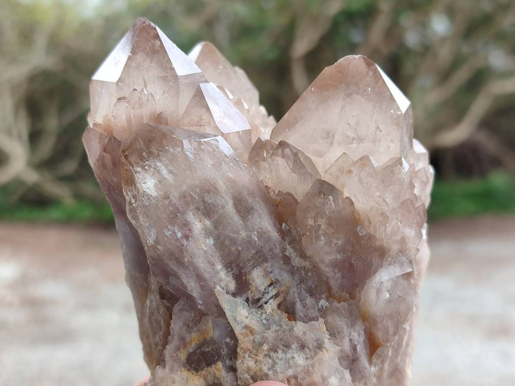 Natural Cascading Smokey White Phantom Quartz Clusters x 3 From Luena, Congo - Toprock Gemstones and Minerals 