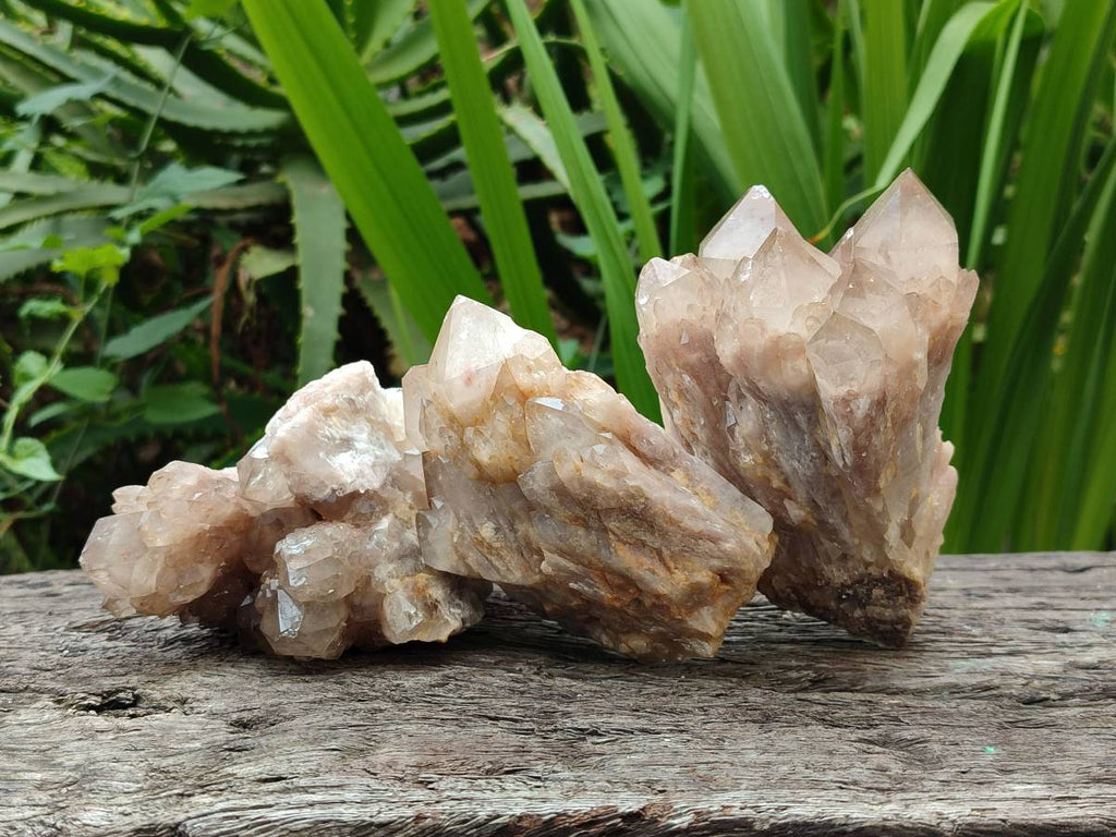 Natural Cascading Smokey White Phantom Quartz Clusters x 3 From Luena, Congo - Toprock Gemstones and Minerals 