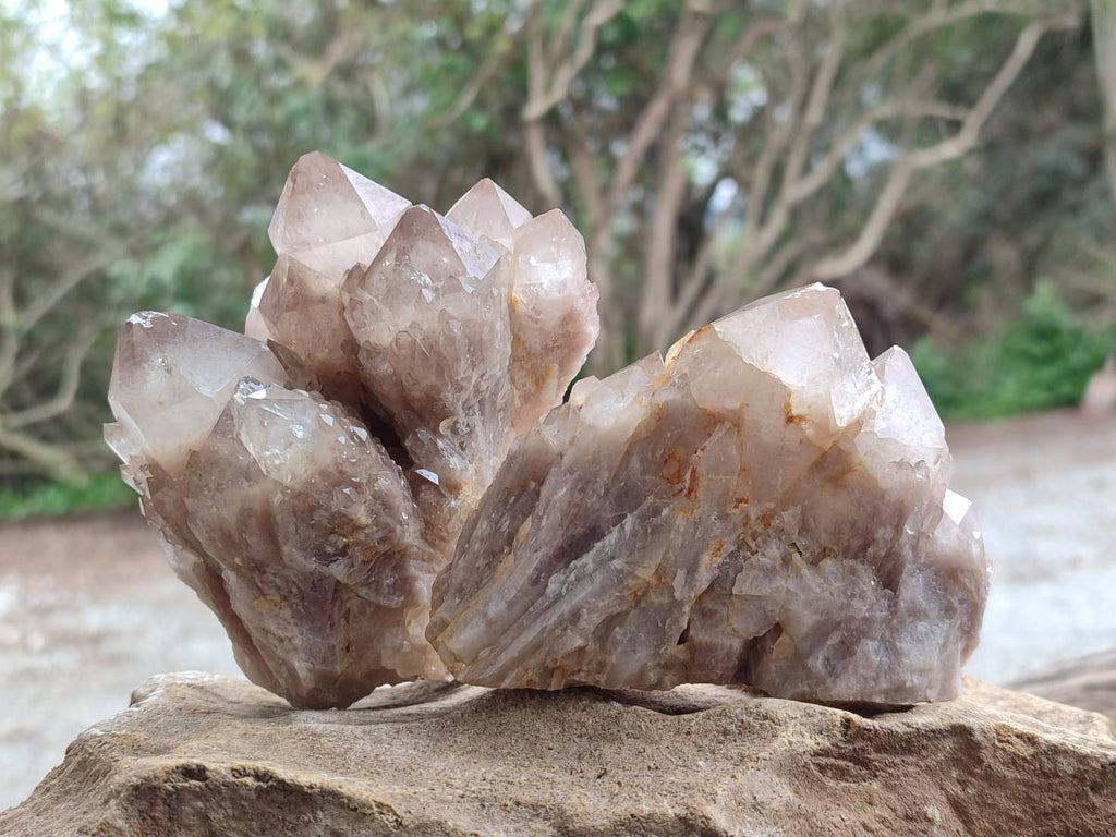 Natural Cascading Smokey White Phantom Quartz Clusters x 3 From Luena, Congo - Toprock Gemstones and Minerals 