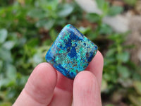 Polished Shattuckite Free Forms x 35 From Congo