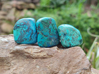 Polished Shattuckite Free Forms x 35 From Congo