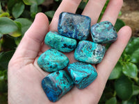Polished Shattuckite Free Forms x 35 From Congo