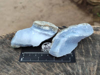 Natural Blue Lace Agate Specimens x 12 From Nsanje, Malawi