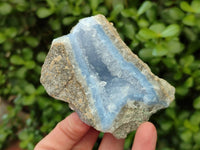 Natural Blue Lace Agate Specimens x 12 From Nsanje, Malawi