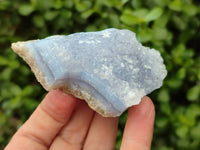 Natural Blue Lace Agate Specimens x 12 From Nsanje, Malawi