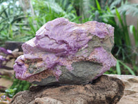 Natural Stichtite And Green Serpentine Specimens x 2 From Barberton, South Africa