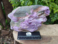 Natural Stichtite And Green Serpentine Specimens x 2 From Barberton, South Africa