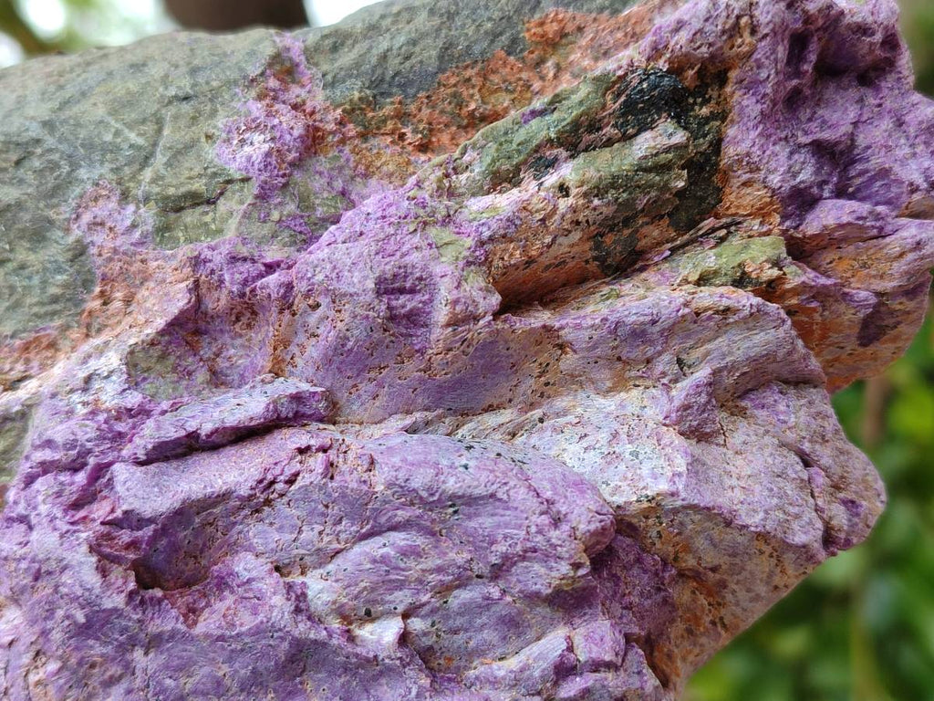 Natural Stichtite And Green Serpentine Specimens x 2 From Barberton, South Africa - Toprock Gemstones and Minerals 