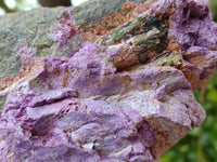 Natural Stichtite And Green Serpentine Specimens x 2 From Barberton, South Africa