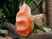 Polished Orange Calcite Flame x 1 From Maevantanana, Madagascar