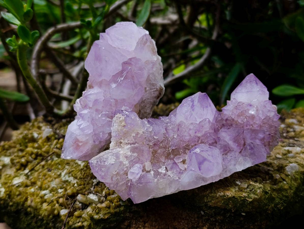 Natural Spirit Quartz Amethyst Clusters x 6 From Boekenhouthoek, South Africa - Toprock Gemstones and Minerals 